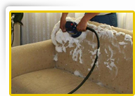 Professional Furniture Cleaners